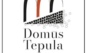 Domus Tepula 1